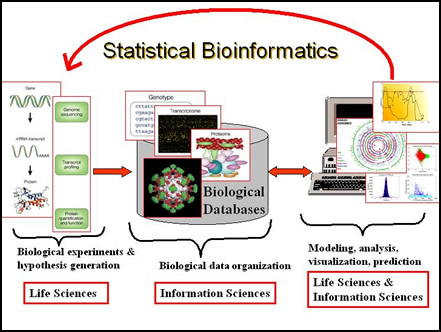 Bioinformatics