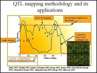 QTL Plot