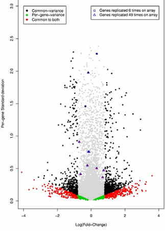 Microarray Analysis