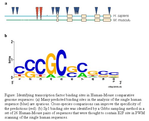 Sequencing Analysis