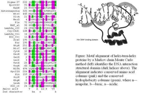 Sequencing Analysis