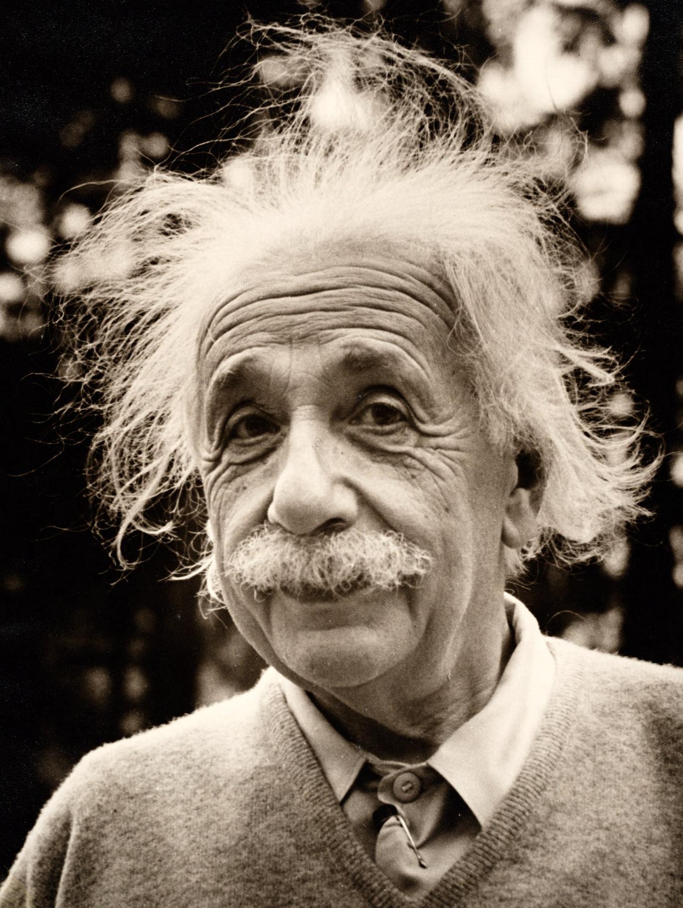 Einstein Albert